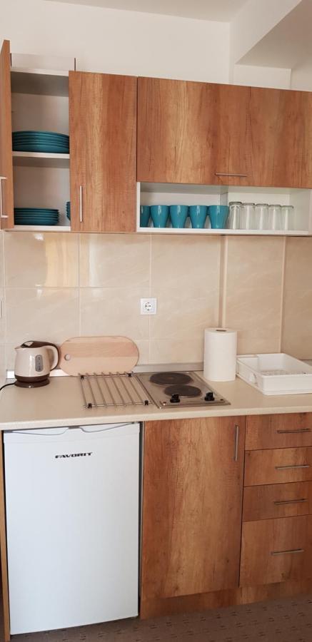 קופאוניק Dobricin Konak, Apartman 202 מראה חיצוני תמונה