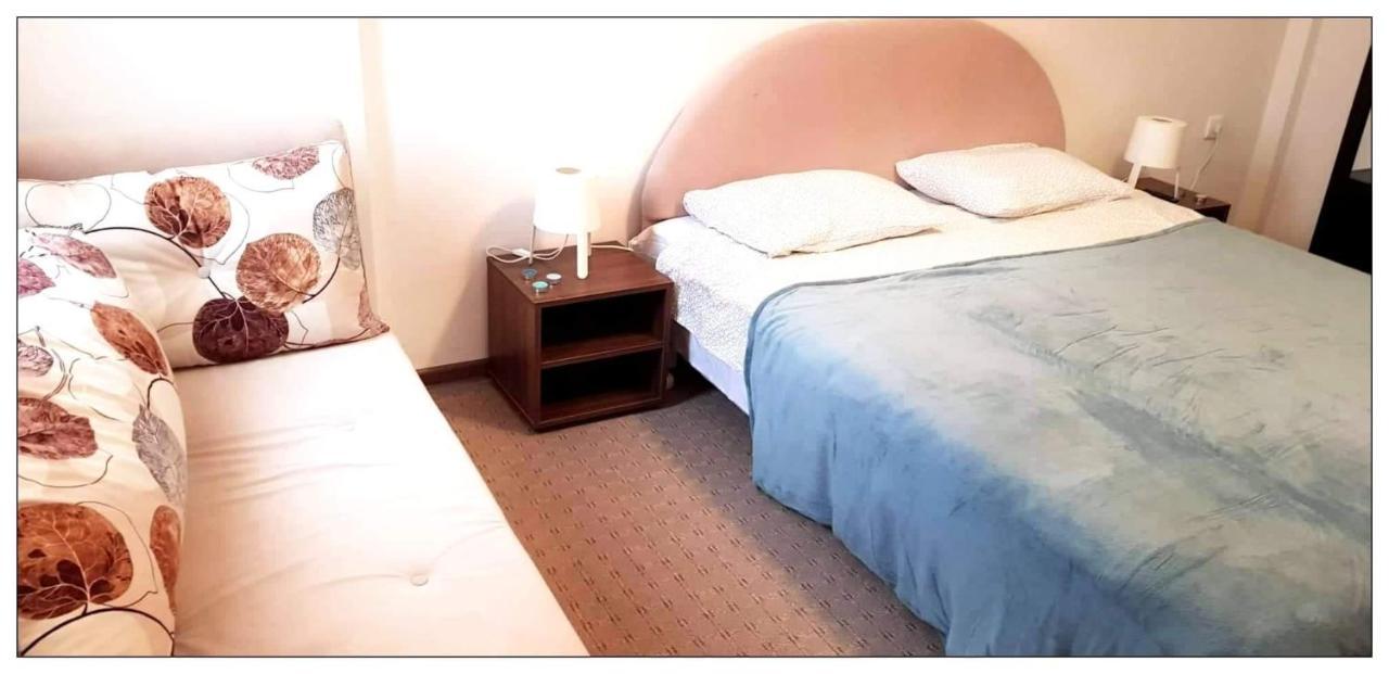 קופאוניק Dobricin Konak, Apartman 202 מראה חיצוני תמונה
