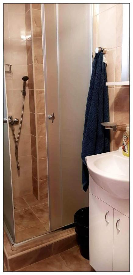 קופאוניק Dobricin Konak, Apartman 202 מראה חיצוני תמונה