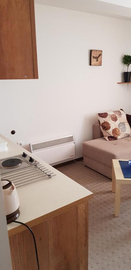 קופאוניק Dobricin Konak, Apartman 202 מראה חיצוני תמונה
